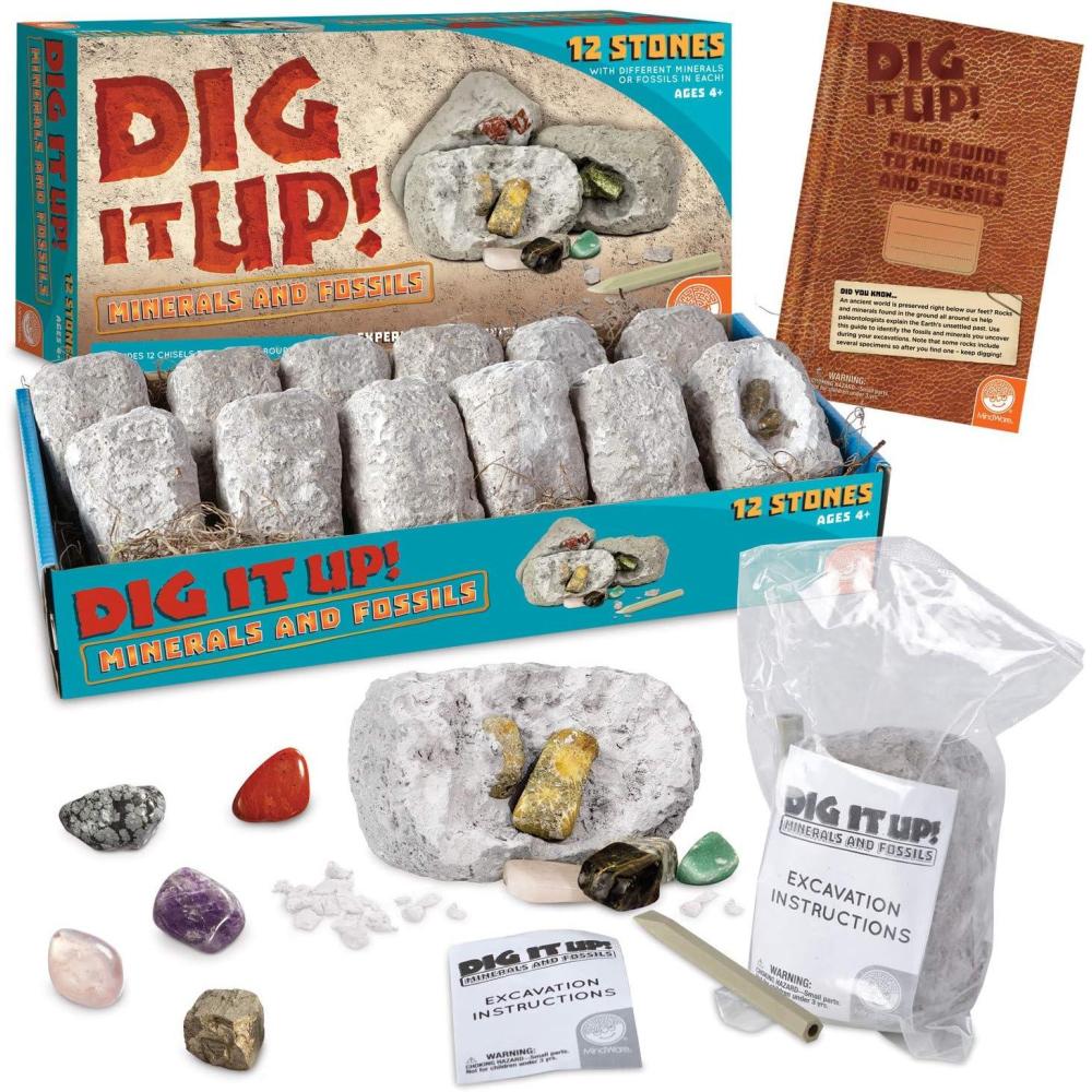 imageDig It Up Fossils ampamp Minerals