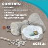 Dig It Up! Fossils & Minerals