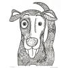 MindWare – Fantastical Styles Animal Coloring Book – 24 Puzzles – Teaches Creativity and Fosters Imagination
