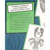 Mindware Fantastical Styles: Ocean Game