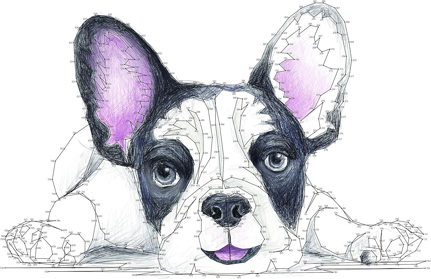 imageMindWare World of Dots Dogs ConnectTheDots Puzzle Coloring Book for Kids and Adults 32 DogThemed Designs Ages 8 and Up