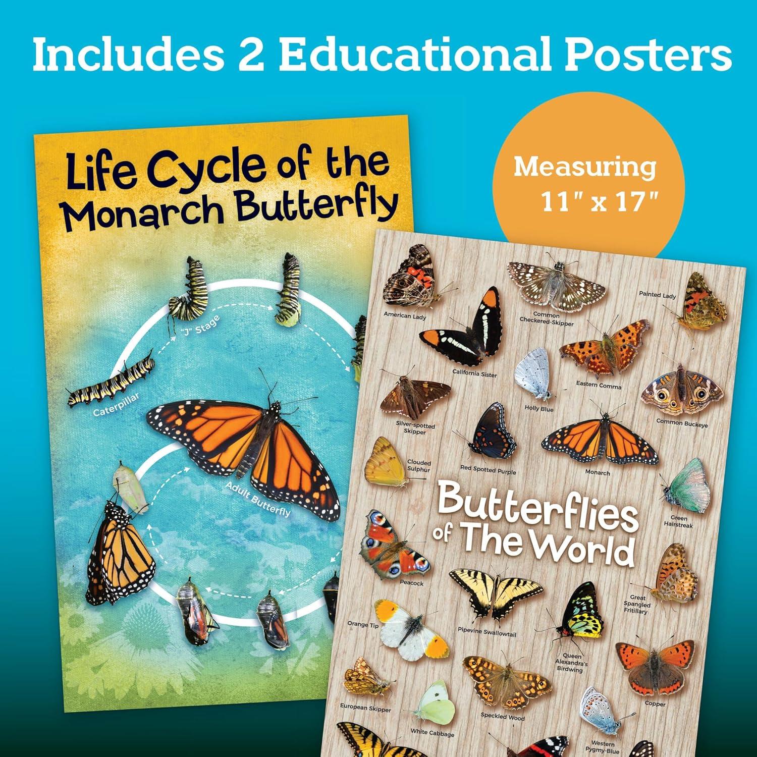 imageMindWare Make Your Own Butterfly House Kit Butterfly Craft Kit for Kids Age 5 and Up