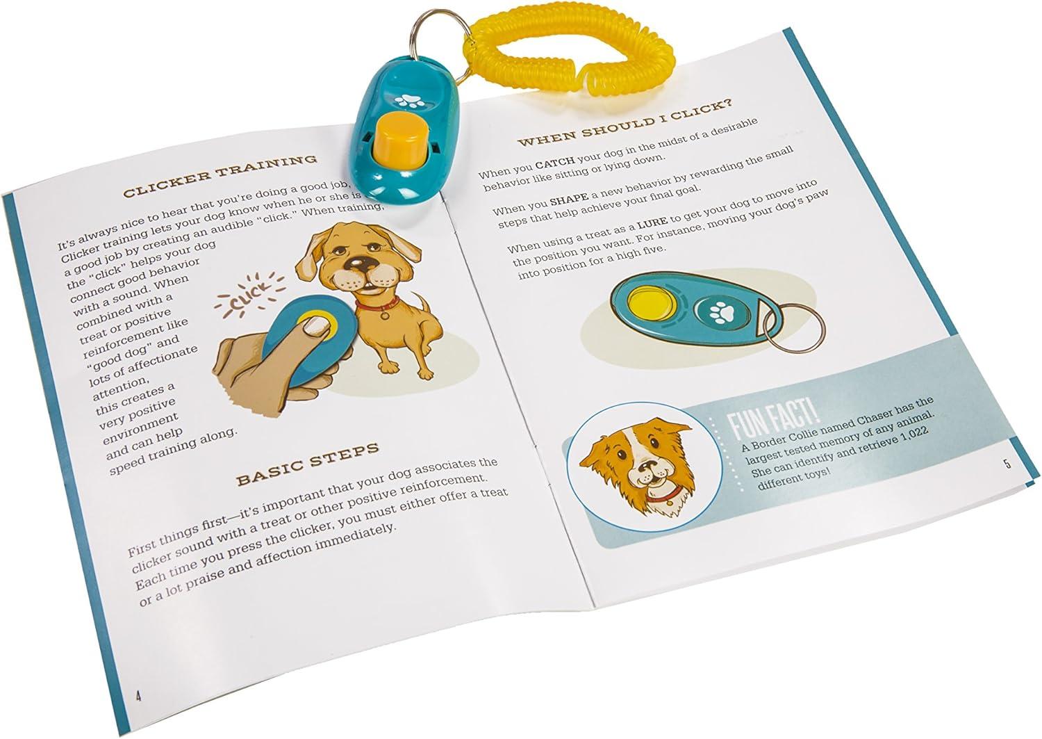 imageMindWare Make Your Own Doggy Day Camp Deluxe Outdoor Activity Kit for Dog Lovers with Many Fun Training ampamp Play Challenges Interactive Bonding Gift for Active Dogs ampamp Their Humans