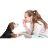 MindWare Make Your Own Doggy Day Camp – Deluxe Outdoor Activity Kit for Dog Lovers with Many Fun Training & Play Challenges | Interactive Bonding Gift for Active Dogs & Their Humans