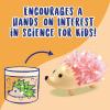 MindWare Crystal Growing Kits: Hedgehogs Bright Colors Set of 2 – Cute DIY Crystal Growing Kits for Kids & Teens – Funky mini Science Experiment in an 9pc kit – Crystals Grow in 24 Hours