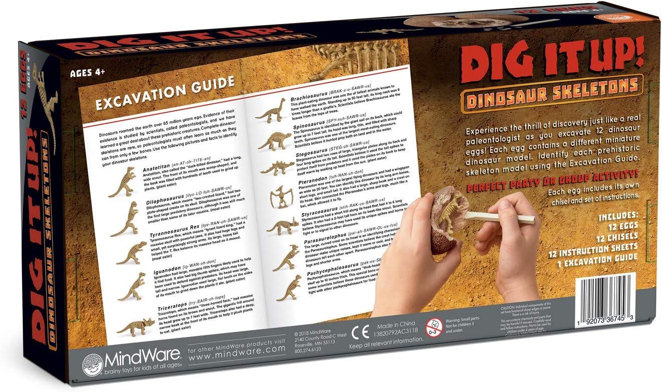 image:imageMindWare Dig It Up Dinosaur Skeleton Eggs Excavation kit Comes with 12 Clay Eggs 12 Chisel Tools and 12 Instruction Sheets
