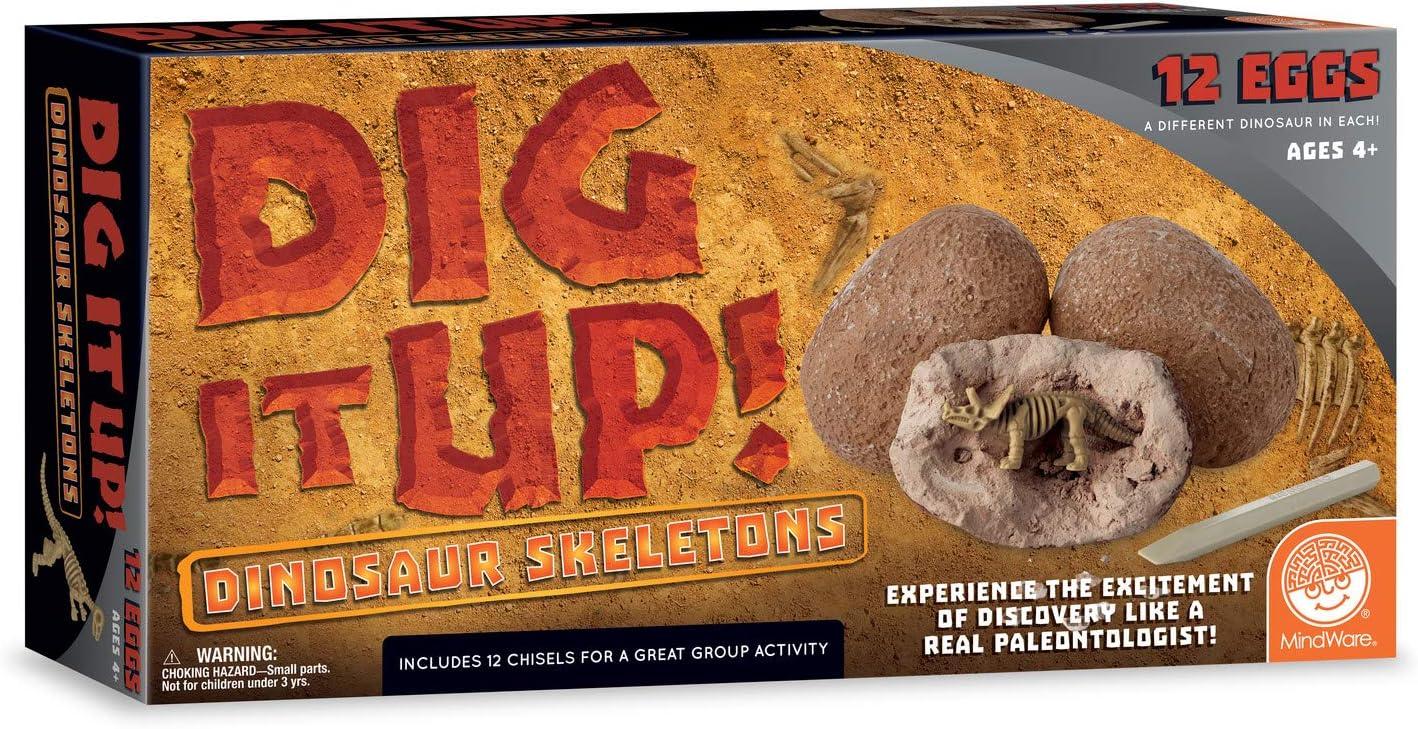 image:imageMindWare Dig It Up Dinosaur Skeleton Eggs Excavation kit Comes with 12 Clay Eggs 12 Chisel Tools and 12 Instruction Sheets