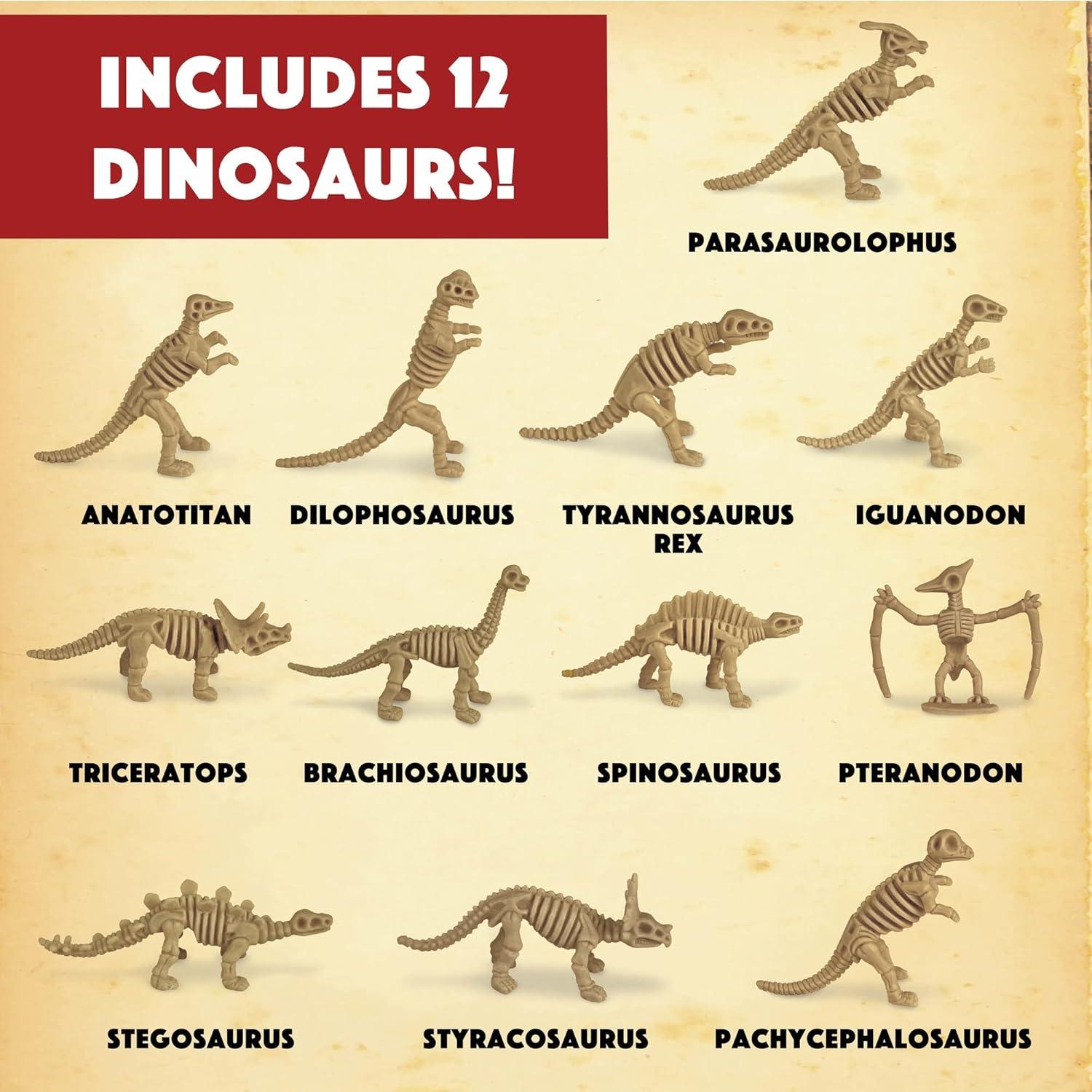 image:imageMindWare Dig It Up Dinosaur Skeleton Eggs Excavation kit Comes with 12 Clay Eggs 12 Chisel Tools and 12 Instruction Sheets