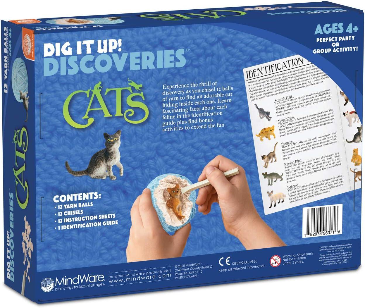image:imageMindWare Dig It Up Discoveries Cats PartySized 12Pack of Educational Discovery Digs for Kids with Tools amp Fun Facts Learn All About Cats