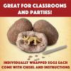 MindWare Dig It Up! Dinosaur Skeleton Eggs Excavation kit – Comes with 12 Clay Eggs, 12 Chisel Tools and 12 Instruction Sheets