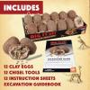 MindWare Dig It Up! Dinosaur Skeleton Eggs Excavation kit – Comes with 12 Clay Eggs, 12 Chisel Tools and 12 Instruction Sheets
