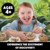 MindWare Dig It Up! Dinosaur Skeleton Eggs Excavation kit – Comes with 12 Clay Eggs, 12 Chisel Tools and 12 Instruction Sheets