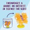 MindWare Sparkle Formations Crystal Butterflies Science Kit with Crystal Growing Experiment for Kids Ages 8 and Up, Grow and Display Colorful Crystal Wings, Includes 2 Butterfly Models