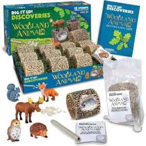 MindWare Dig it Up! Woodland Animals Excavation Kit – Educational Toys for Kids 4 and Up – Dig Kit with 12 Stumps, 12 Animal Figurines, 12 Chisels – Group or Classroom Activities & Birthday Parties
