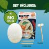 DIG IT UP! The Big Egg, Dinosaur Excavation Kit, Seven Different Dinosaurs Included STEM Kids Games