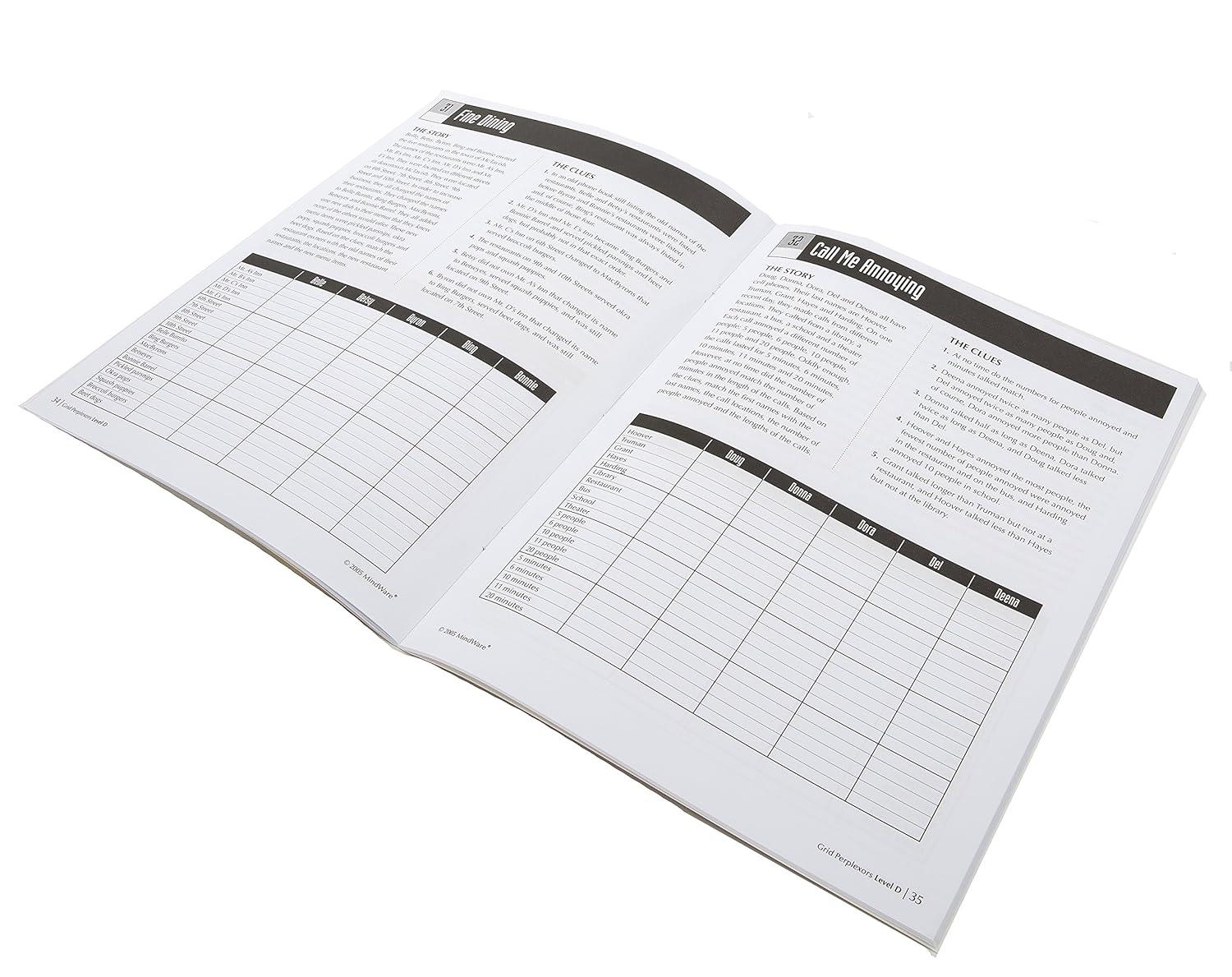 image:imageMindWare Grid Perplexors Level D