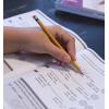 MindWare Analogy Challenges: Beginner Level