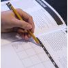 MindWare Grid Perplexors: Level D