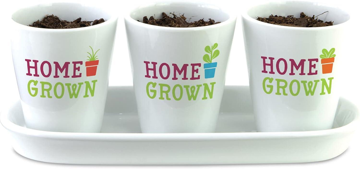 image:imageHome Grown Hydroponic Growing Kit Tools amp Instructions for NoWaste Kitchen Gardening Ages 8 and up