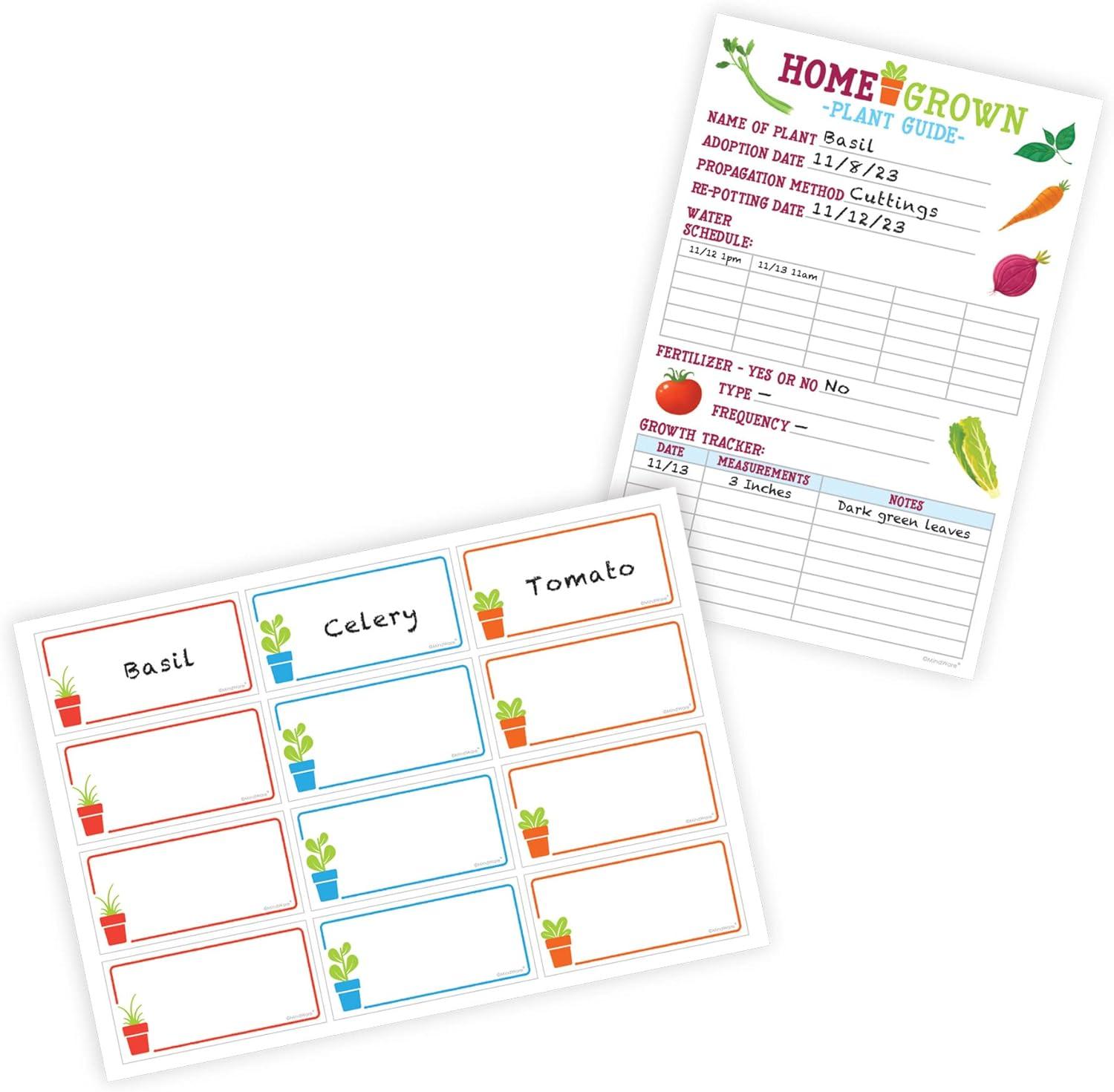image:imageHome Grown Hydroponic Growing Kit Tools amp Instructions for NoWaste Kitchen Gardening Ages 8 and up