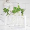 Home Grown Hydroponic Growing Kit – Tools & Instructions for No-Waste Kitchen Gardening. Ages 8 and up.