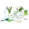 Home Grown Hydroponic Growing Kit – Tools & Instructions for No-Waste Kitchen Gardening. Ages 8 and up.