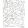 MindWare Hidden Predators Creature Camouflage Coloring Book