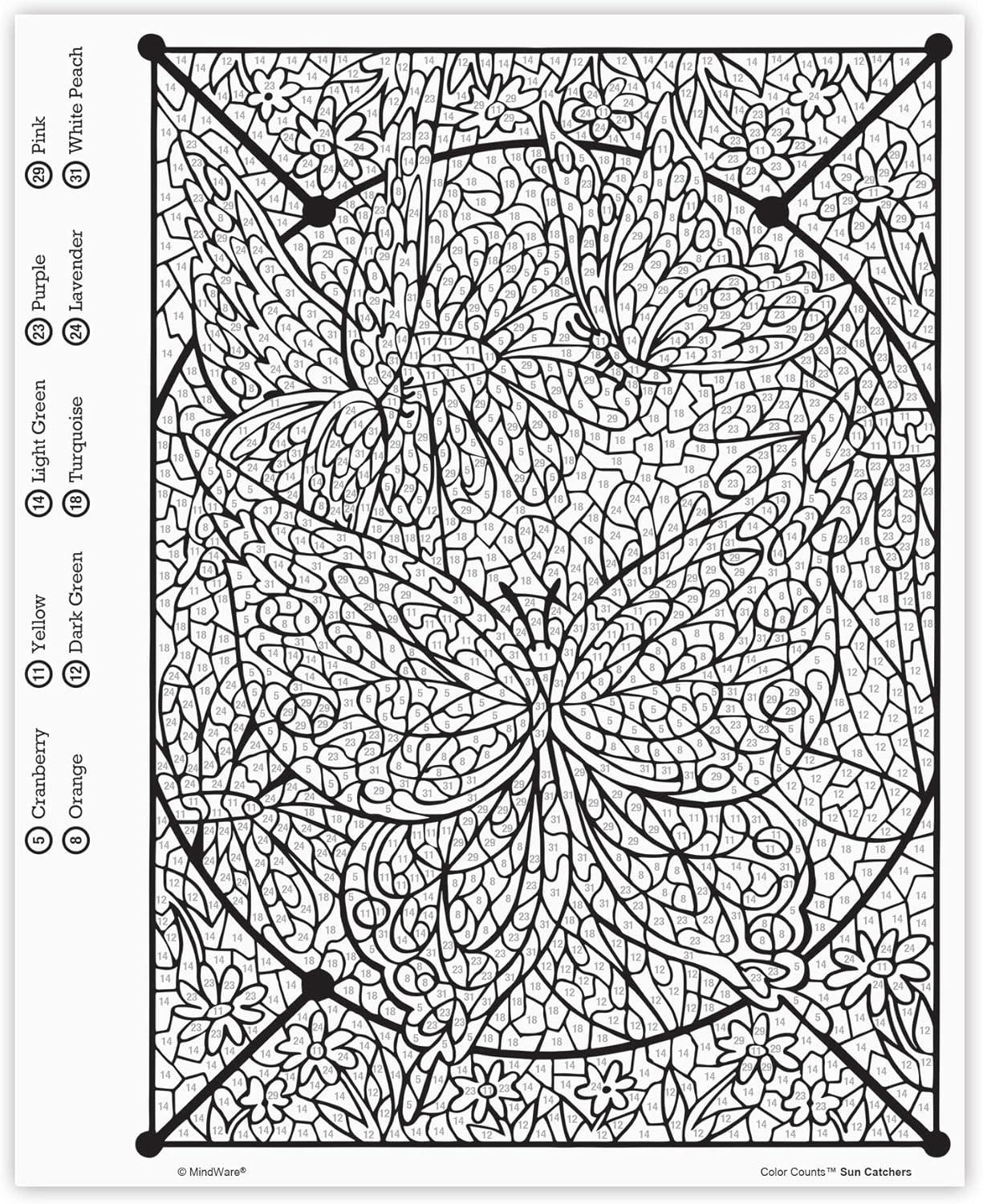 image:imageMindWare Color Counts Set of 2 Color by Number Books  Kaleidoscope amp Sun Catchers  Includes Numbered Colored Pencils  Fun Art Projects amp Kids Crafts  Ages 6 and Up