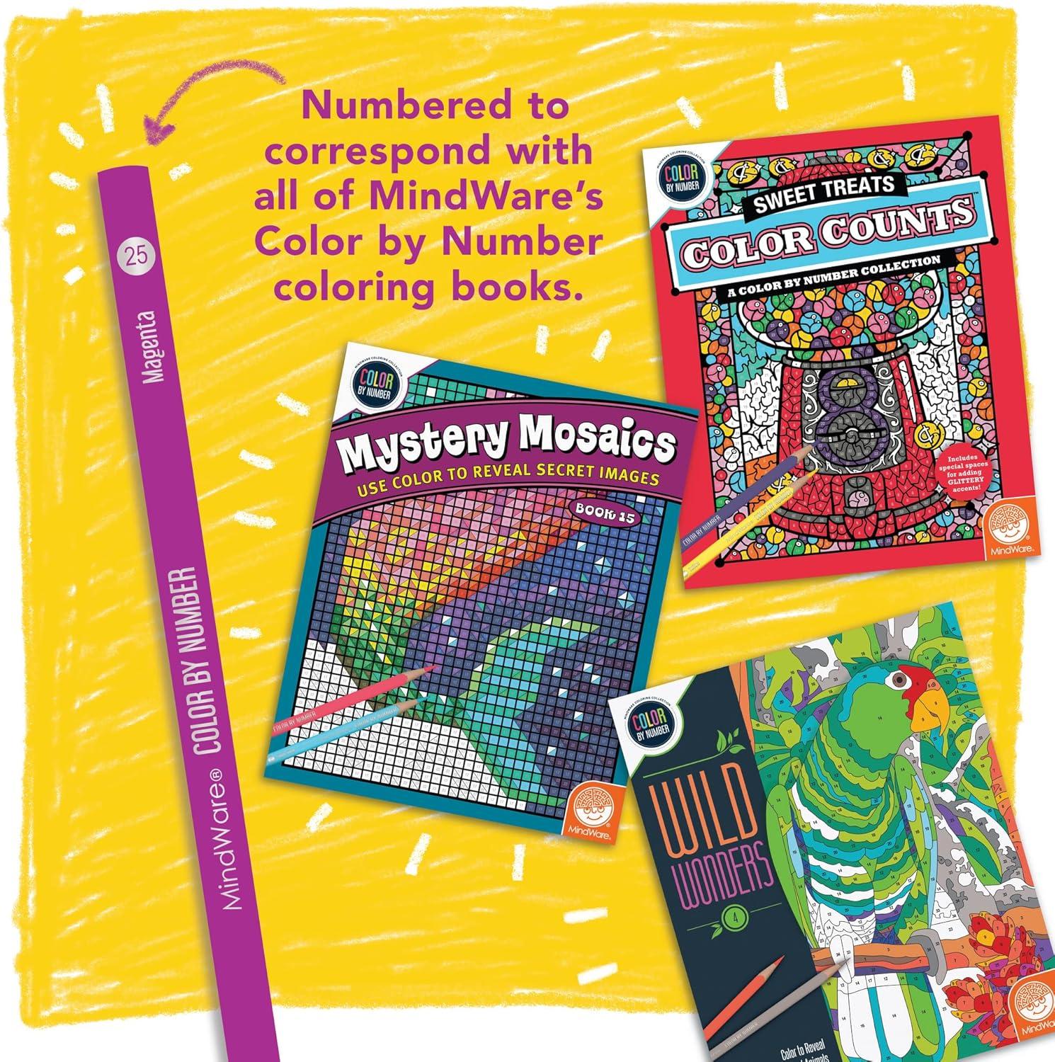 image:imageMindWare Color Counts Set of 2 Color by Number Books  Kaleidoscope amp Sun Catchers  Includes Numbered Colored Pencils  Fun Art Projects amp Kids Crafts  Ages 6 and Up