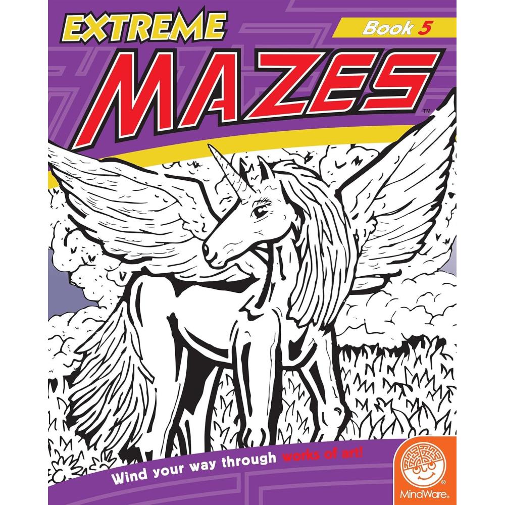 image:imageMindWare Extreme Mazes Book 5