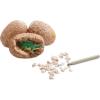 MindWare Dig It Up! Dinosaur Eggs and Mineral Stones Set of 2 Dig Kits