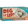 MindWare Dig It Up! Dinosaur Eggs and Mineral Stones Set of 2 Dig Kits