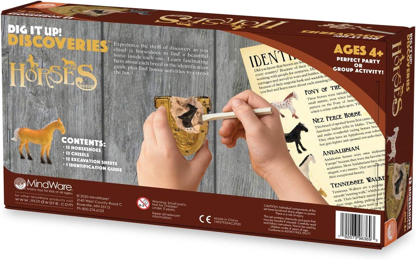 image:imageMindWare Dig It Up Discoveries Horses PartySized 12Pack of Educational Discovery Digs for Kids with Tools amp Fun Facts Learn About Horses