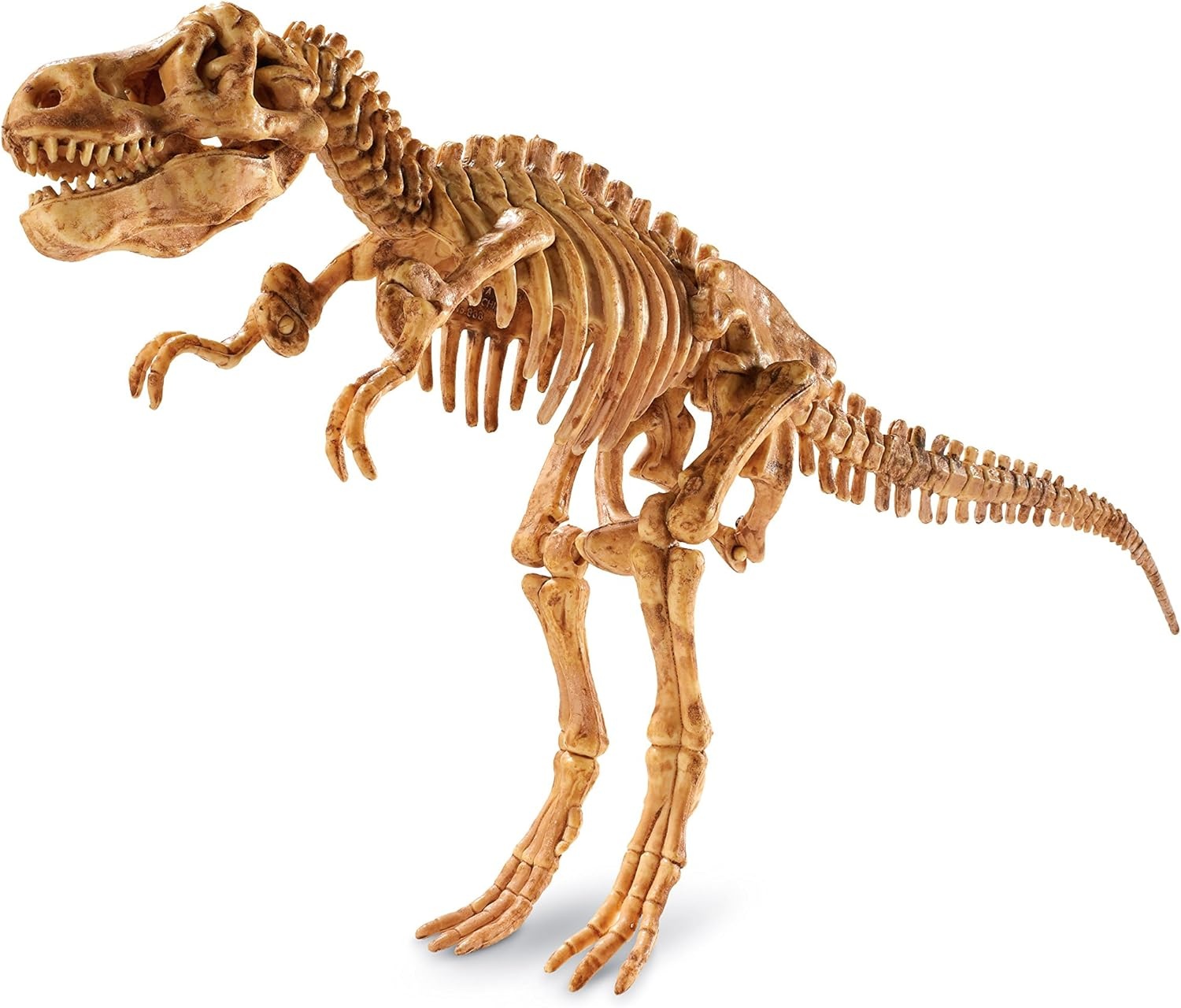 image:imageMindWare Dig It up Tyrannosaurus Rex Fossil Excavation Kit Dinosaur Stem Toy for Kids Includes Fossil Block Hammer Chisels Brush amp Sponge
