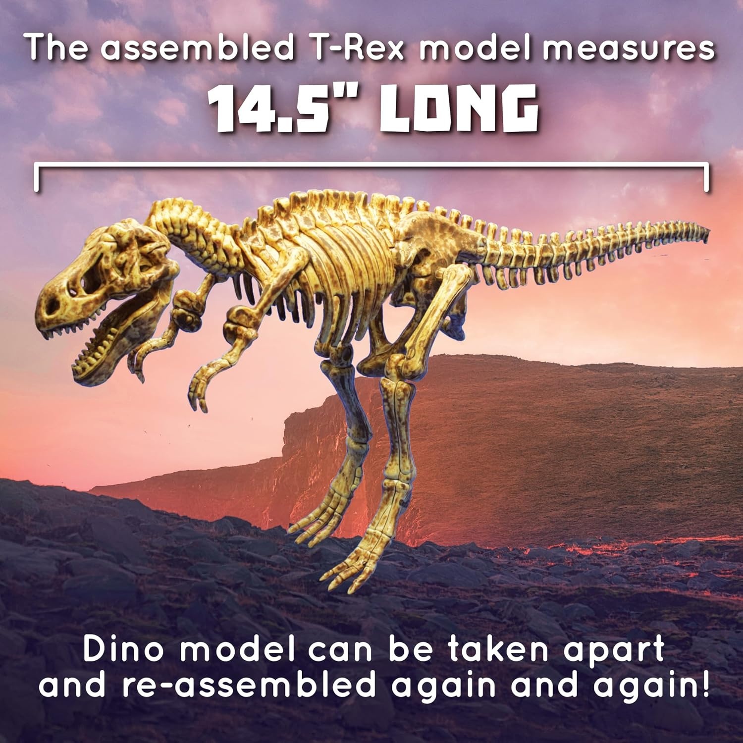image:imageMindWare Dig It up Tyrannosaurus Rex Fossil Excavation Kit Dinosaur Stem Toy for Kids Includes Fossil Block Hammer Chisels Brush amp Sponge