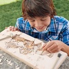 MindWare Dig It up Tyrannosaurus Rex Fossil Excavation Kit – Dinosaur Stem Toy for Kids – Includes Fossil Block, Hammer, Chisels, Brush, & Sponge