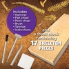 MindWare Dig It up Tyrannosaurus Rex Fossil Excavation Kit – Dinosaur Stem Toy for Kids – Includes Fossil Block, Hammer, Chisels, Brush, & Sponge